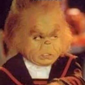 Meet your Posher, Bernardo